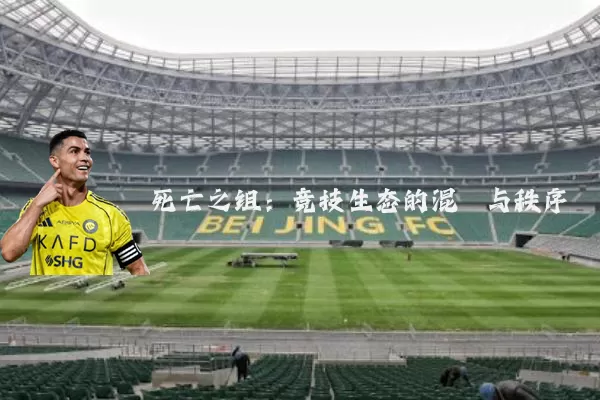 死亡之组：竞技生态的混沌与秩序
