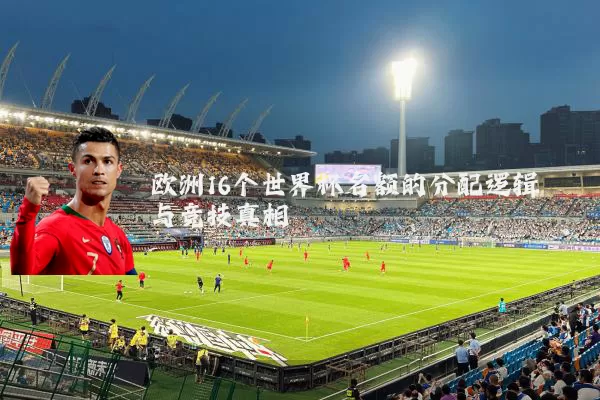 欧洲16个世界杯名额的分配逻辑与竞技真相